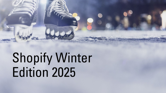 Unpacking the Boring Shopify Winter Edition 2025 for B2B and D2C eCommerce